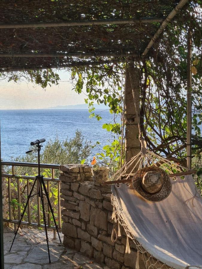 Koki Eco House Villa Blato  Eksteriør bilde