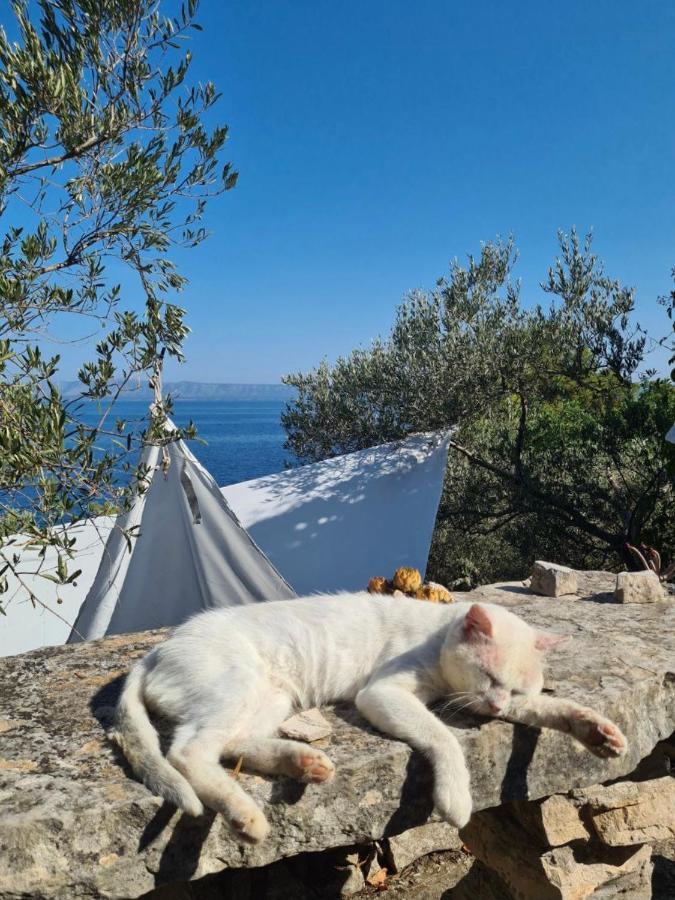 Koki Eco House Villa Blato  Eksteriør bilde